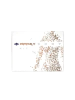 Profhilo body kit skinbooster dermal filler biostimulator white package